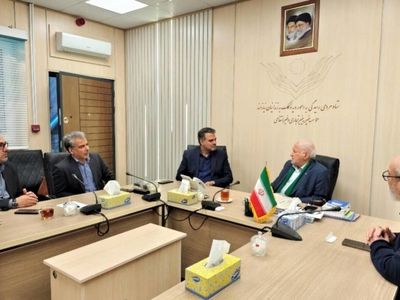 ستاد دیه در بسط عدالت بازوی دستگاه قضا است