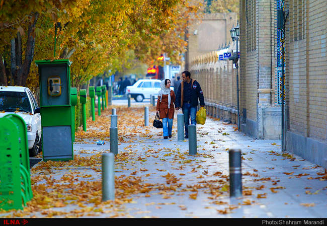 برگ ریزان پاییز اصفهان