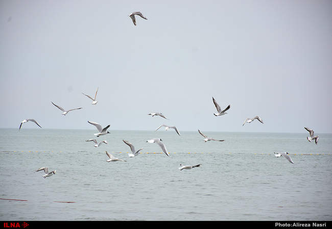ایران زیبا/ متل قو