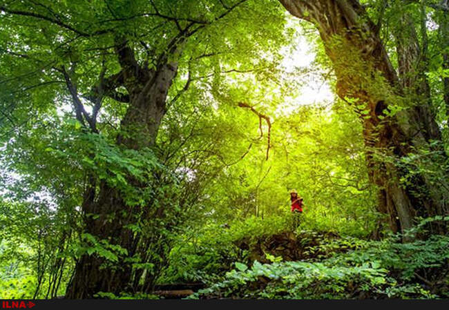 زیبایی های طبیعت در هوبئی