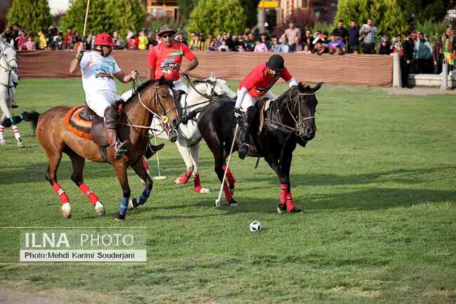 IMG_4945 copy