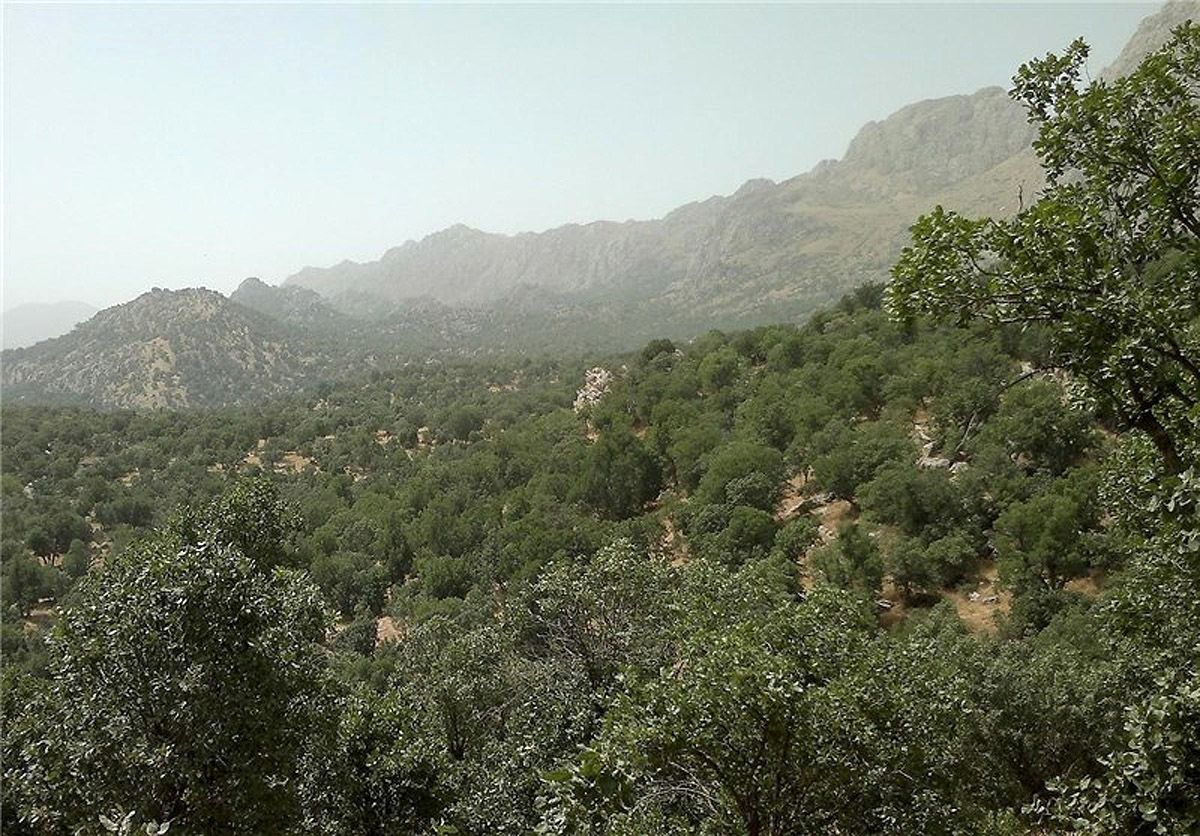 تشدید نظارت قضایی بر اراضی ملی و جنگل‌ها در ایام نوروز در گلستان/ در شرایط جنگی نیز صیانت از بیت‌المال تعطیل‌بردار نیست