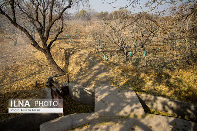 باغستان سنتی؛ میراث کهن مردم قزوین 