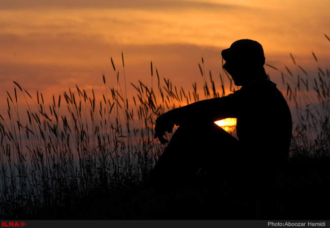 برداشت علوفه زمستانه دام از مراتع شهرستان رودبار 