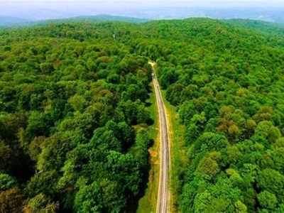 نگاهی به حفاظت از جنگل‌های هیرکانی در «طبیعت ۳۶۰ درجه» 