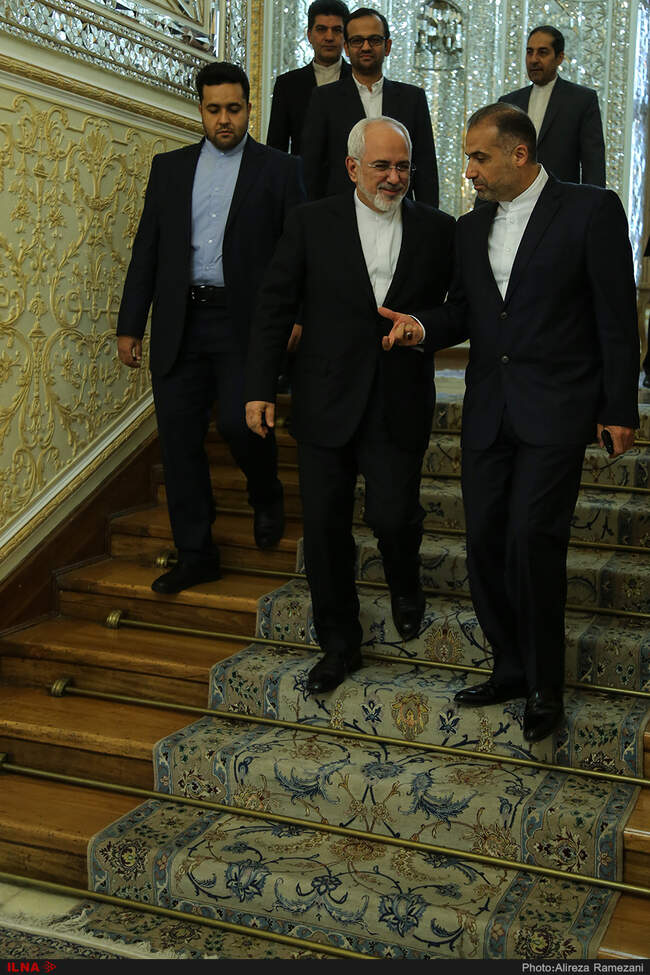 دیدار رئیس گروه دوستی ایران و پارلمان اروپا با محمد جواد ظریف