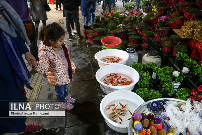 خرید هفت سین در آستانه نوروز