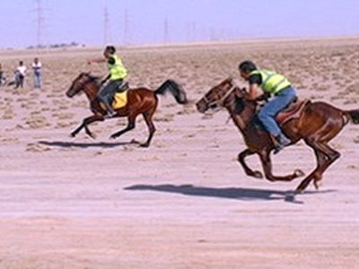 نفرات برتر مسابقات کورس اسب‌دوانی خرم‌آباد معرفی شدند