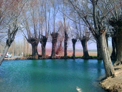 بی‌تدبیری مسئولان فولاد محله را غرق در آب کرد/ خشک شدن درختان روستا به دلیل آب زیاد در زمین/ احسانی :مخالفت وزیر نیرو با لغو ممنوعیت برداشت آب 