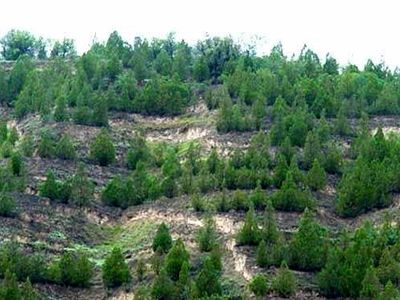 برگزاری همایش مدیریت سبز با عنوان "هوای پاک، مسئولان ، مردم"