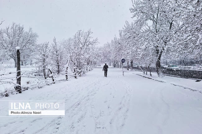 قزوین در آغوش برف به روایت تصویر