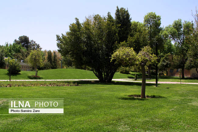 مردم شیراز با ماندن در خانه اتفاقی زیباتر از روز طبیعت را رقم زدند