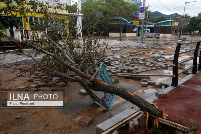 طوفان هینامنور در کره جنوبی 