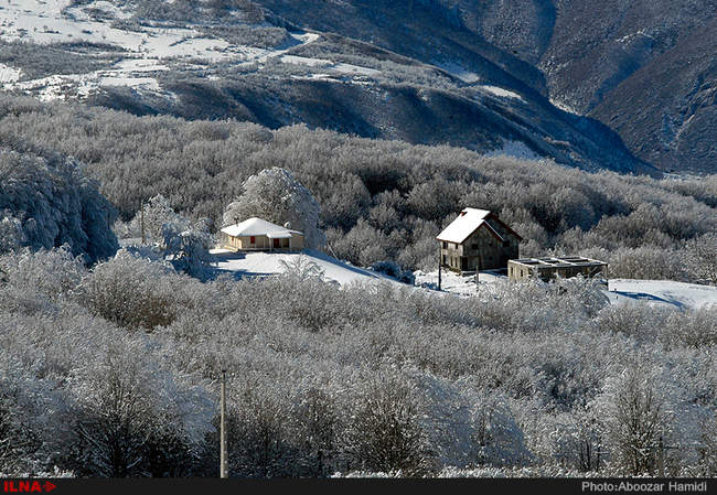 بارش برف در داماش گیلان