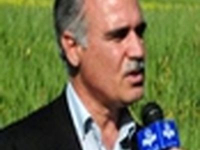 تولید سبزی برگی در آذربایجان شرقی افزایش یافت