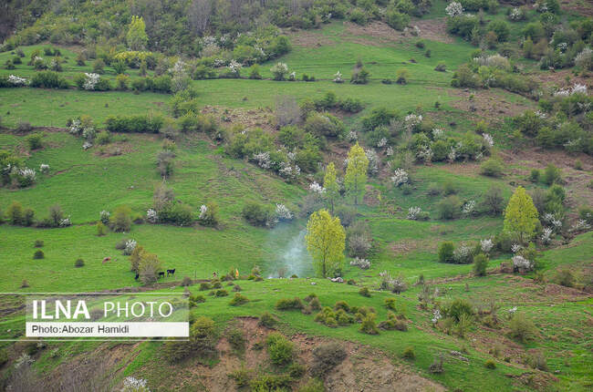 طبیعت بهاری رودبار گیلان