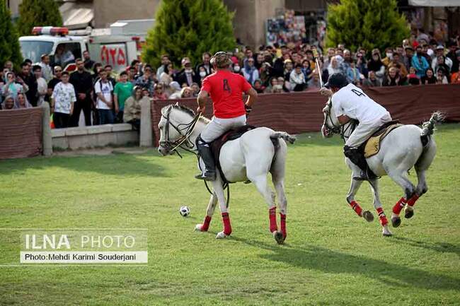IMG_4929 copy