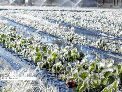 خسارت 20 هزار میلیارد ریالی حوادث طبیعی به کشاورزی همدان