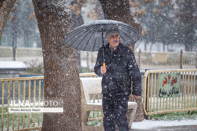  برف زمستانی