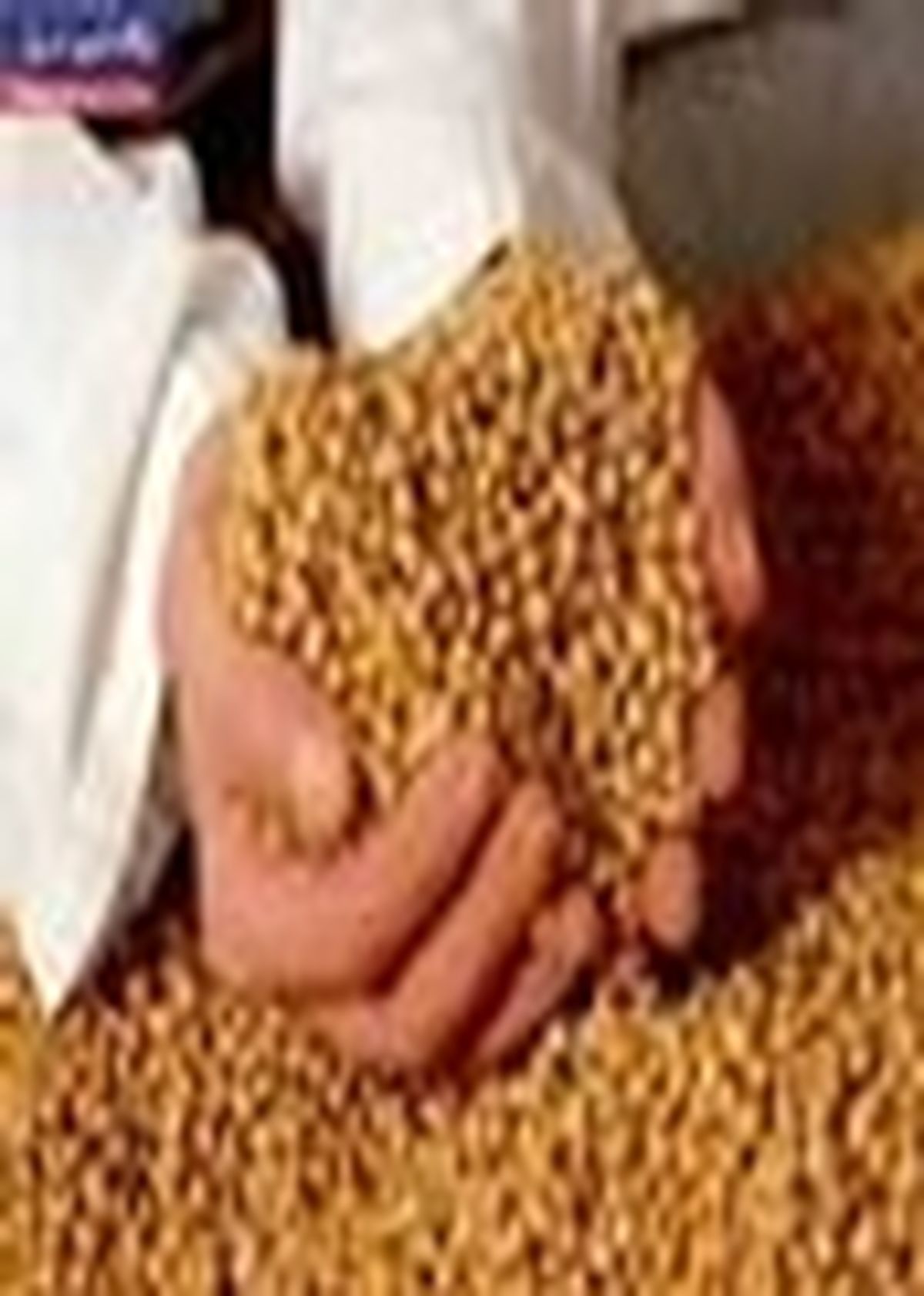 تأمین و توزیع بیش از ۴۷ هزار تن انواع نهاده های کشاورزی در مازندران