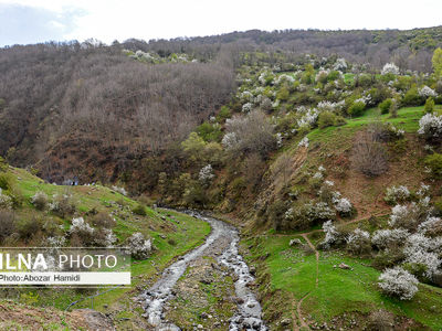 طبیعت بهاری رودبار گیلان