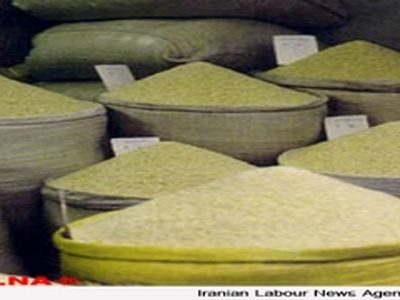 دولت نرخ خرید تضمینی برنج را به موقع اعلام کند