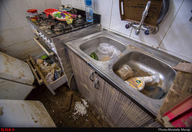 خانه به گل نشسته یک نوعروس؛ دستاورد دیگر شهرداری قم