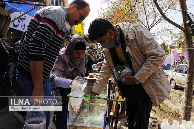 برآمد بوی صبح و بوی نوروز