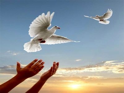 آزادی مرد 85 ساله از زندان با همکاری  شورای حل اختلاف و ستاد دیه استان اردبیل