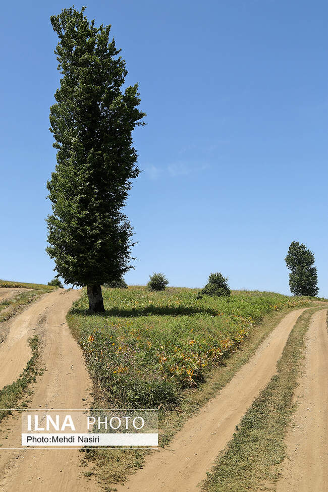 ییلاقات سلانسر