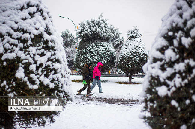 قزوین در آغوش برف به روایت تصویر
