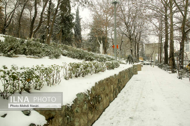 بارش برف در تهران