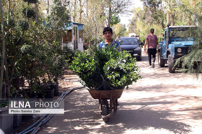جنب و جوش مردم در واپسین ساعات قرن