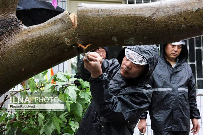 تصاویری از خسارات طوفان راگاسا در جنوب چین 