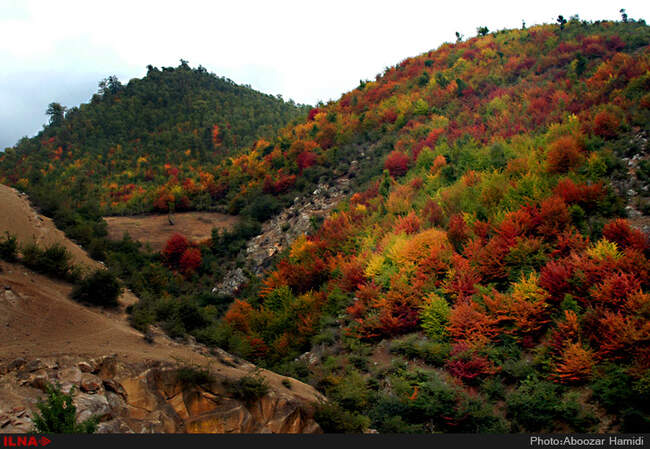 بازی رنگها در رودبار گیلان