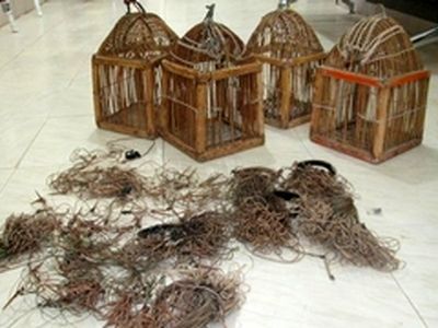 دستگیری چهار متخلف شکار و صید در مسجد سلیمان