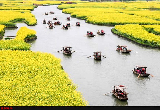 بازدید گردشگران از مناظردیدنی در جیانگ سو 