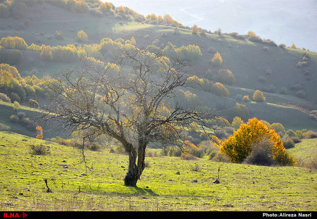 ایران زیبا/ روستای داماش 