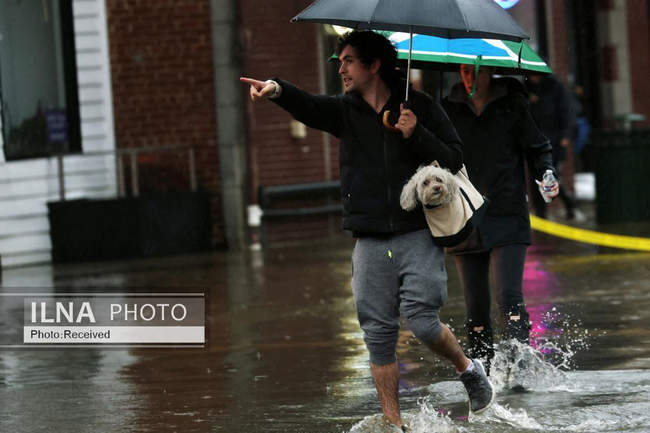 سیل در نیویورک