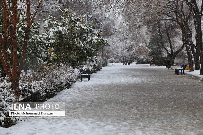 بارش برف زمستانی در شیراز