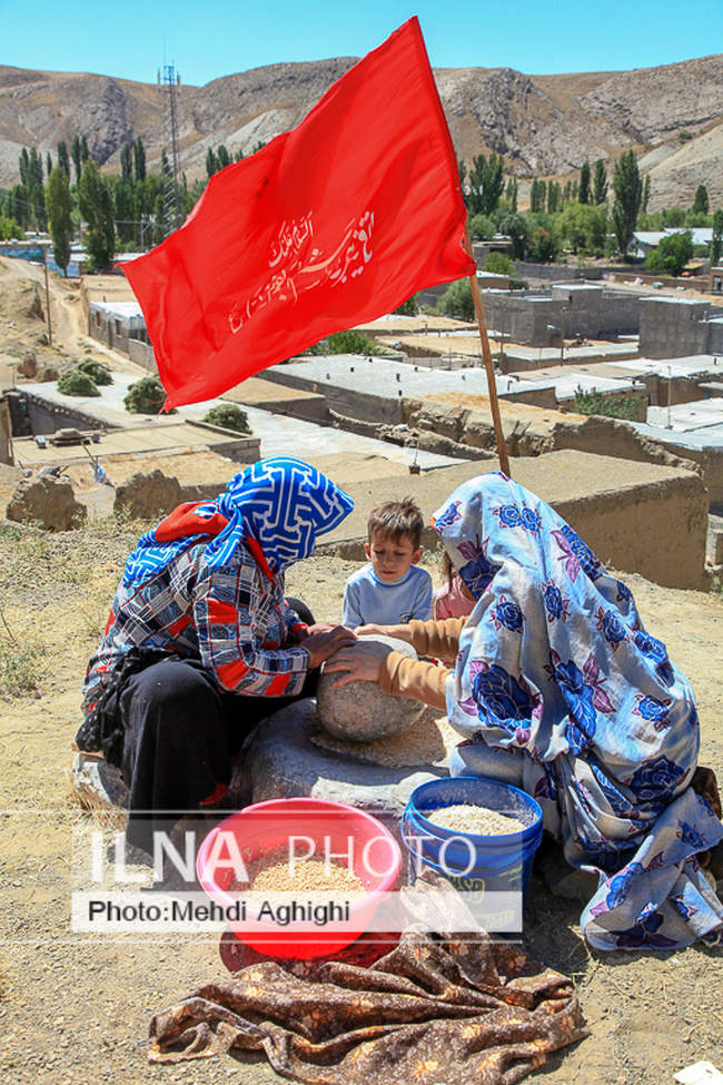 زنهای سرزمین من 