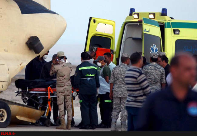 سقوط هواپیمای روسیه در مصر