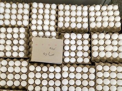 Iran exports 55,000 mt of eggs in 4 months to July