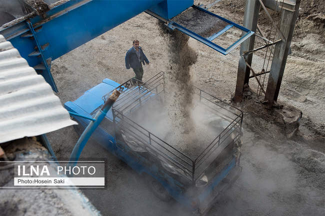 تولید شکر از چغندر قند 