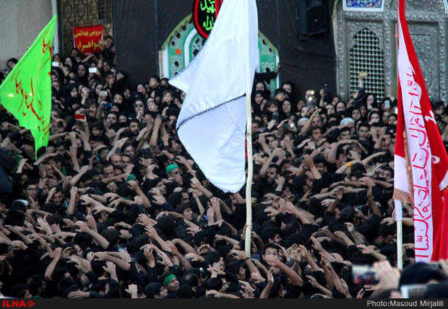 مراسم نخل گردانی و عزاداری / استان یزد