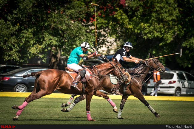 chogan-6