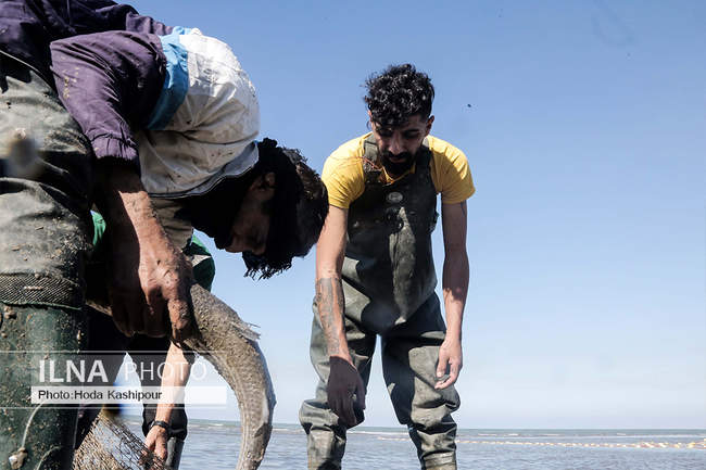 صید پاییزه ماهی در دریای خزر