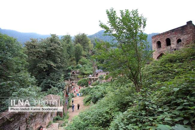 IMG_1969 copy