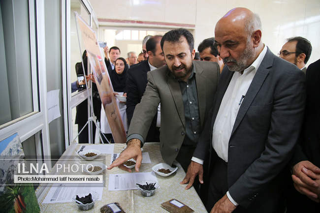 سفر وزیر تعاون، کار و رفاه اجتماعی به استان کردستان