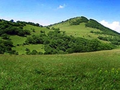 کنترل پروانه‌های مرتعداری آذربایجان شرقی با مشارکت بسیج سازندگی